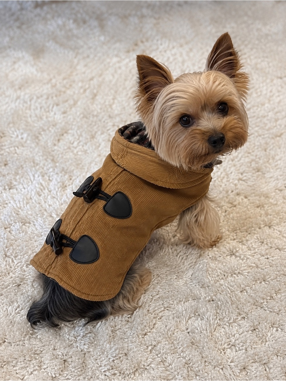 🐶🤎 Fab Dog Corduroy Toggle Dog Coat Jacket XS Plaid Lined 🤎🐶